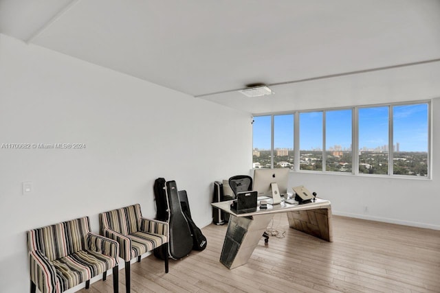 office area featuring light wood-type flooring and plenty of natural light