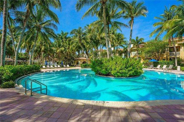 view of swimming pool with a patio