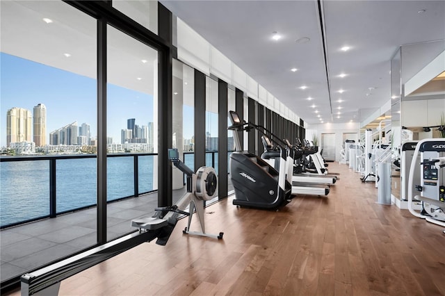 exercise room featuring wood-type flooring and expansive windows