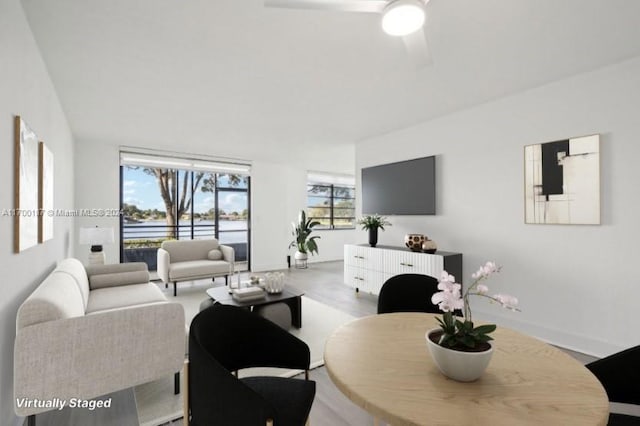 living room featuring light hardwood / wood-style floors