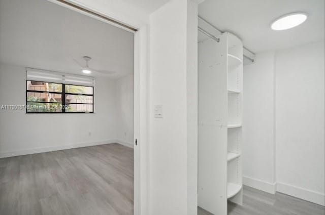 spacious closet with light wood-type flooring