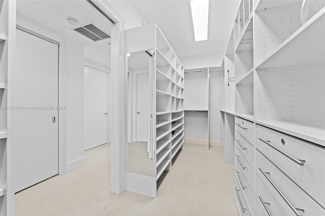 spacious closet with light colored carpet