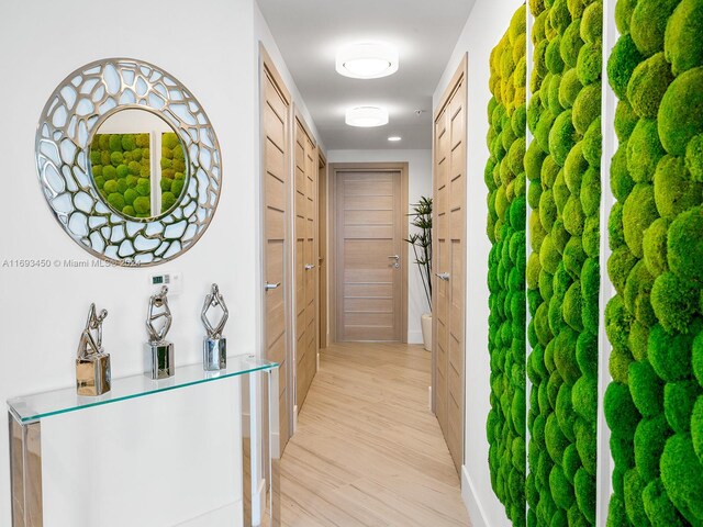 hallway featuring light hardwood / wood-style floors