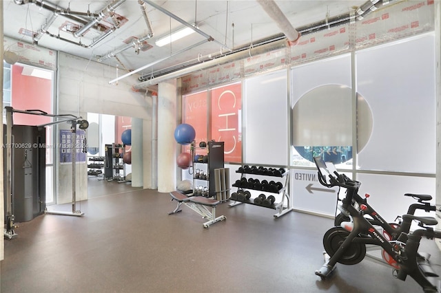 exercise room featuring a wealth of natural light