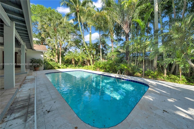 view of pool featuring a patio area