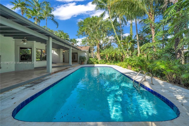 view of swimming pool featuring ceiling fan and a patio