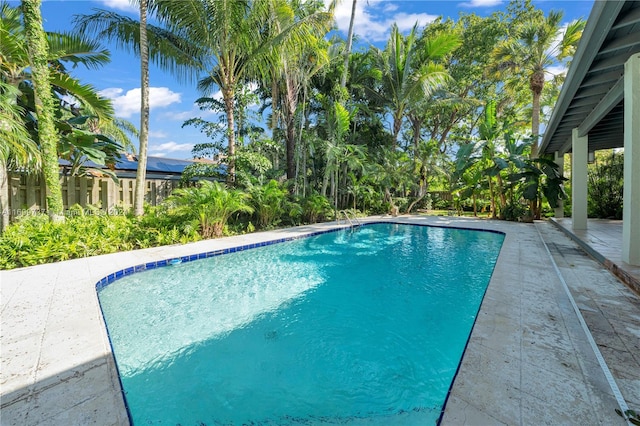 view of swimming pool featuring a patio area