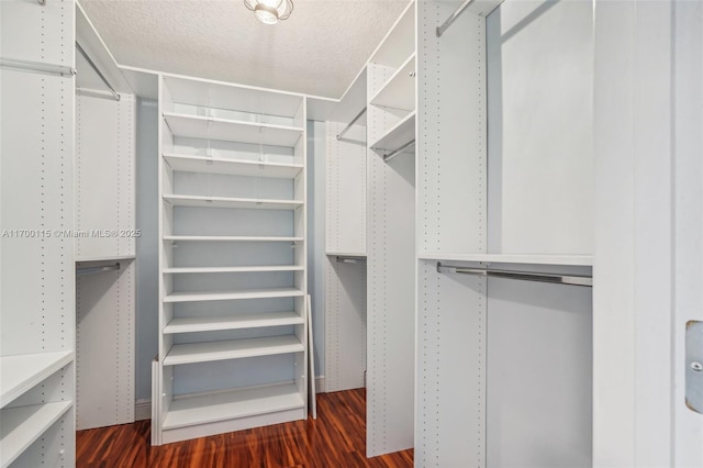 spacious closet featuring dark wood-type flooring