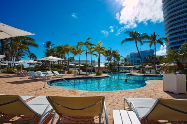 view of pool featuring a patio area