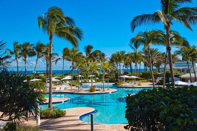 view of pool featuring a patio area