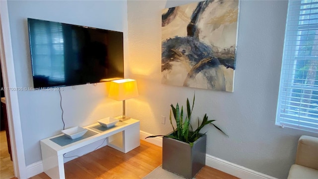 living room featuring hardwood / wood-style flooring