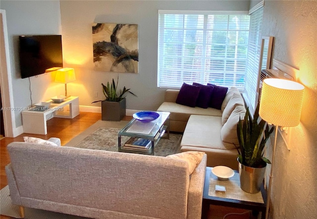 living room featuring hardwood / wood-style flooring