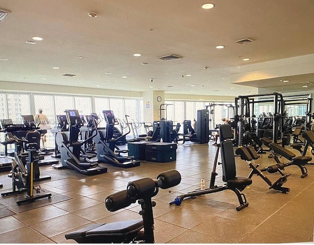 exercise room featuring a wealth of natural light