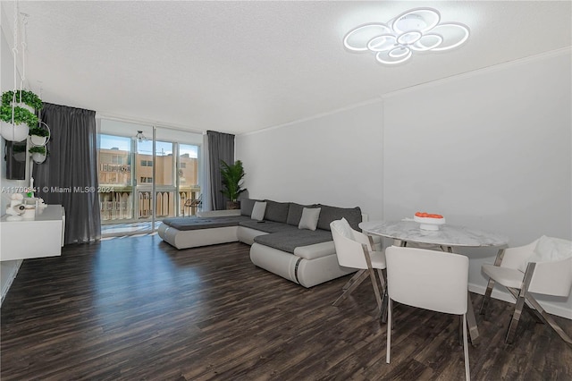 living room with a textured ceiling and dark hardwood / wood-style floors