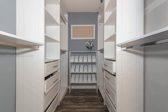 spacious closet with dark hardwood / wood-style floors