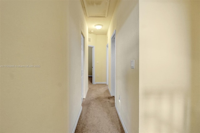 hallway featuring light colored carpet