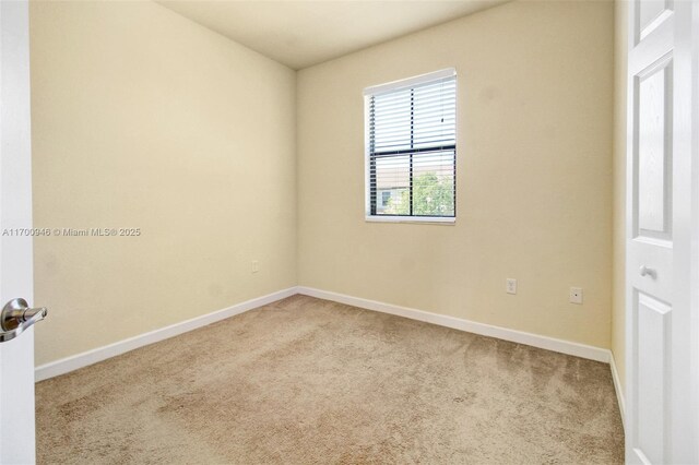 hallway with carpet floors