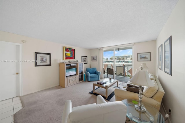 carpeted living room with a textured ceiling