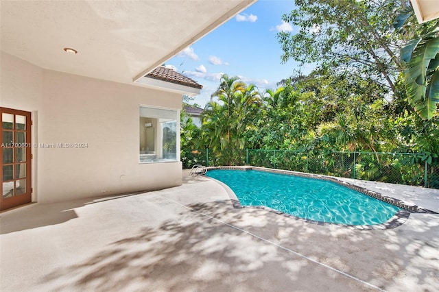 view of swimming pool featuring a patio area