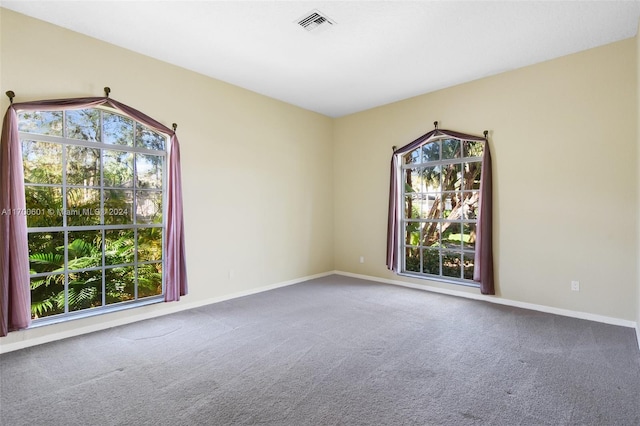 empty room featuring a healthy amount of sunlight and carpet floors