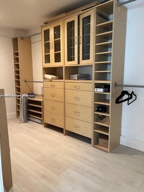 13751 NE 1st Ave, Miami, FL 33161 - walk in closet with light wood finished floors