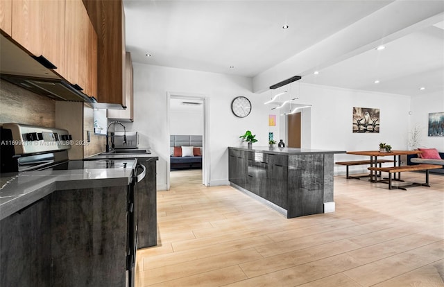 13751 NE 1st Ave, Miami, FL 33161 - kitchen with electric range, modern cabinets, light wood-type flooring, exhaust hood, and recessed lighting
