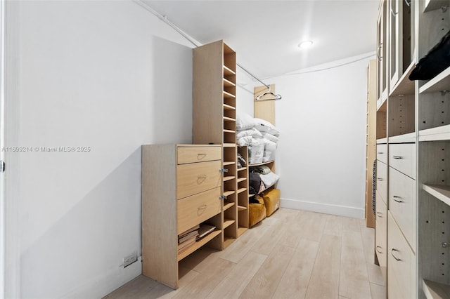 13751 NE 1st Ave, Miami, FL 33161 - walk in closet with light wood-type flooring