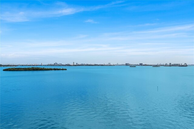 11111 Biscayne Blvd Unit 12F, Miami, FL 33181 - water view with skyline