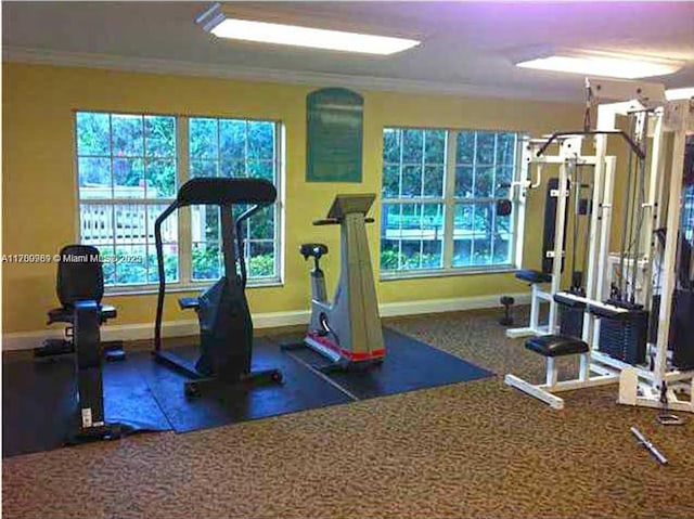 4015 W Mcnab Rd Unit D101, Pompano Beach, FL 33069 - workout area with ornamental molding and healthy amount of natural light