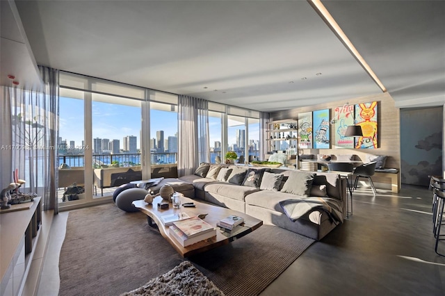 living room featuring expansive windows