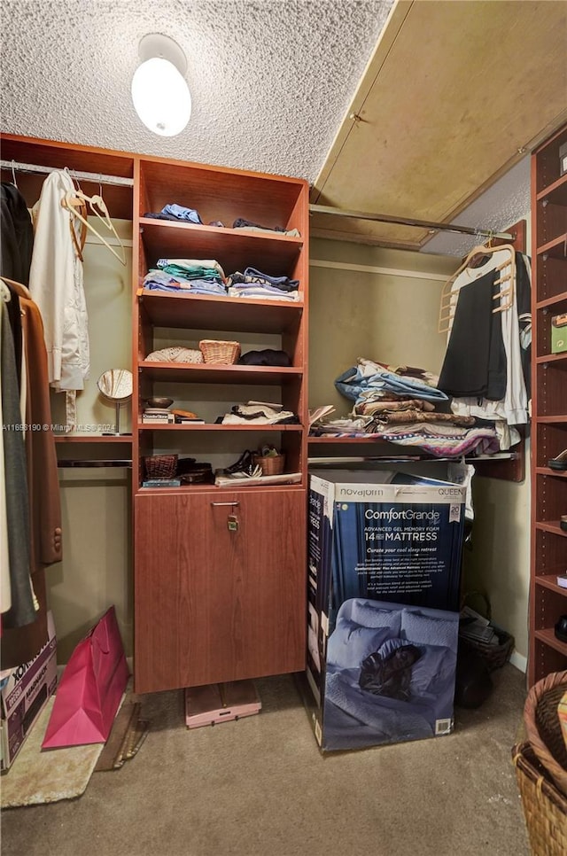 spacious closet featuring carpet flooring