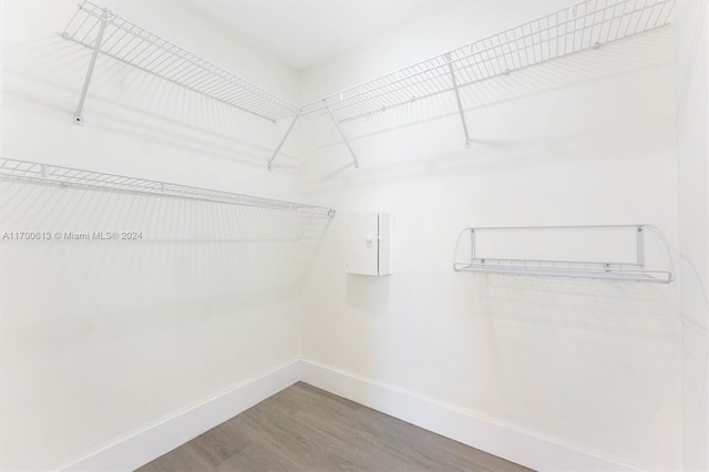 walk in closet featuring wood-type flooring