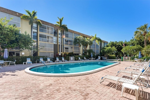 view of pool featuring a patio