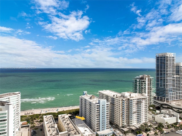 aerial view with a water view and a view of the beach