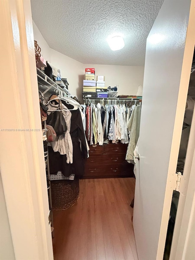 spacious closet with hardwood / wood-style flooring