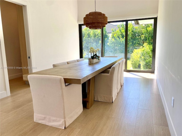 unfurnished dining area featuring baseboards and light wood finished floors