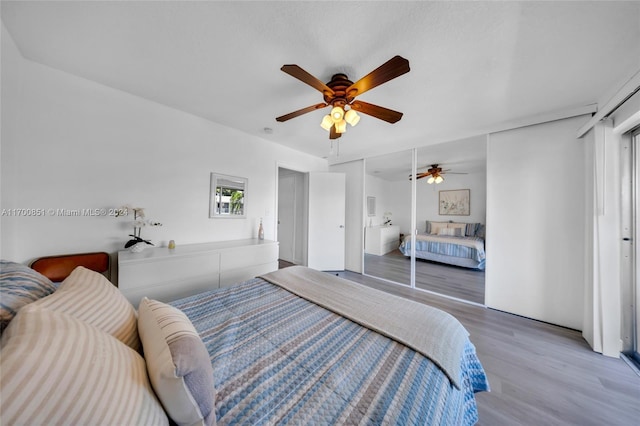 15610 NE 6th Ave Unit 33D, Miami, FL 33162 - bedroom with wood finished floors and ceiling fan