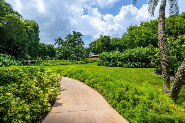 view of property's community with a lawn