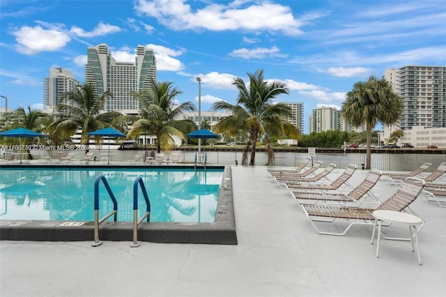 view of pool featuring a patio