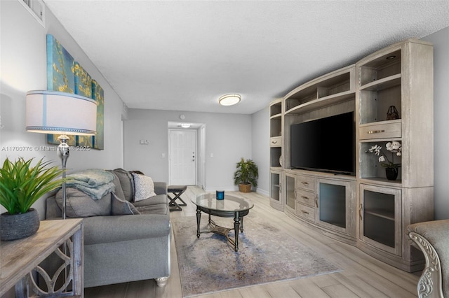 living room featuring a textured ceiling and hardwood / wood-style flooring