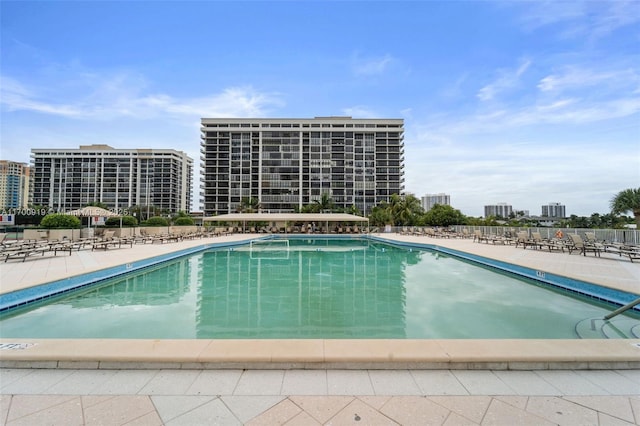 view of pool with a patio area