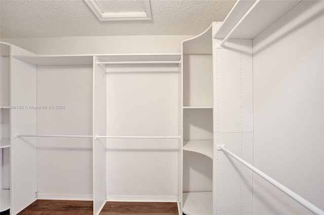 spacious closet with hardwood / wood-style floors