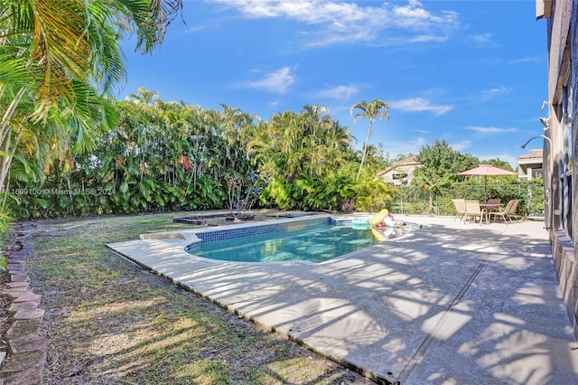 view of swimming pool featuring a patio