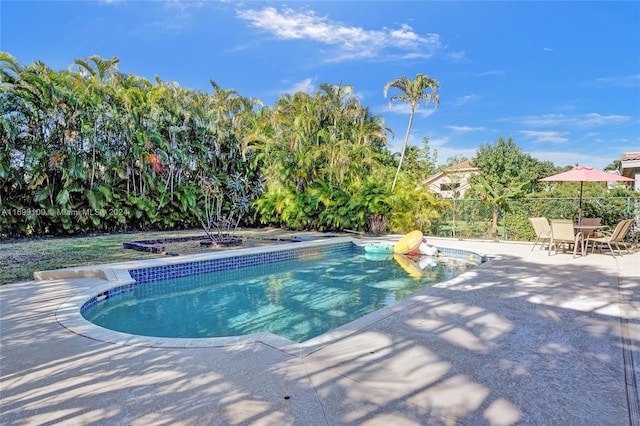 view of pool featuring a patio area