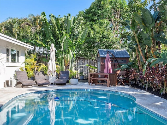 view of pool with a patio