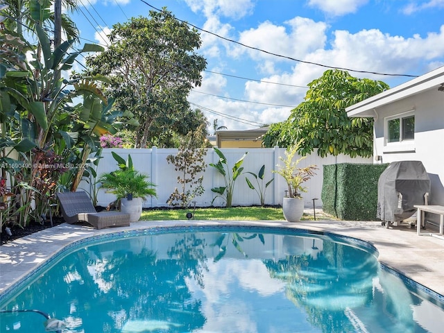 view of swimming pool with a patio and grilling area