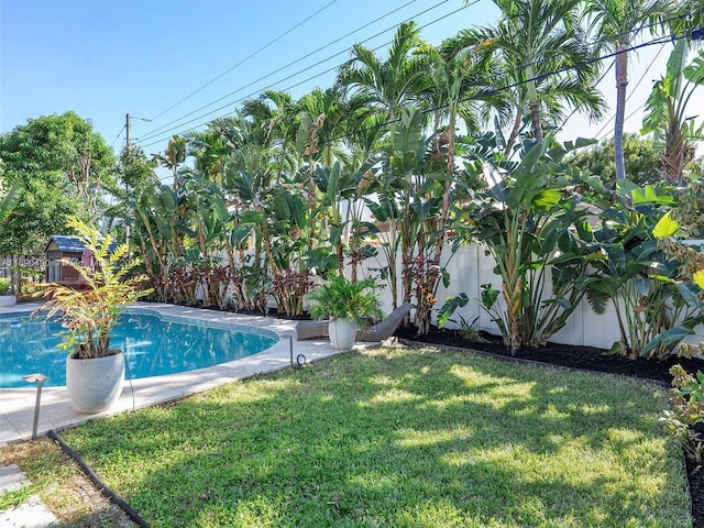 view of pool featuring a yard