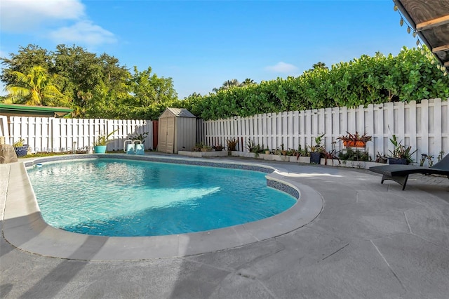 view of swimming pool featuring a patio area and a storage unit