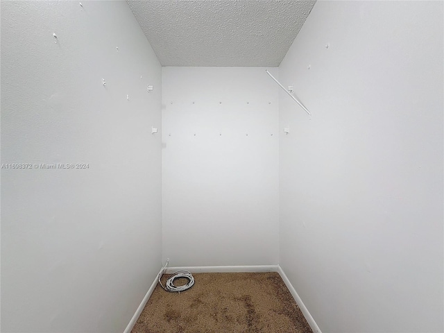 spacious closet featuring carpet