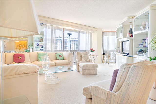 carpeted living room with a textured ceiling